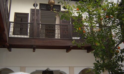 RIAD HALFAOUI 1