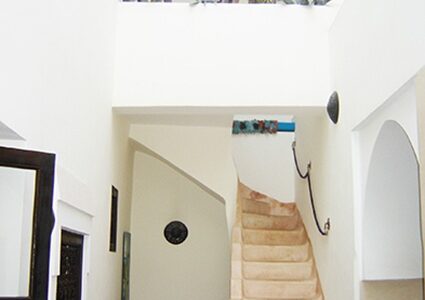 RIAD HALFAOUI 3